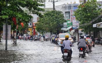 Ninh Thuận đón cơn mưa 'vàng' lớn hiếm gặp