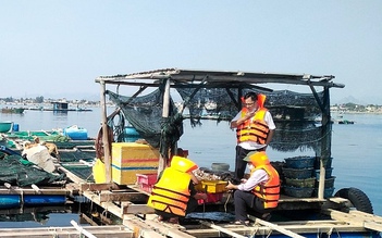 Ninh Thuận: Cưỡng chế lồng bè nuôi thủy sản trái phép trên vùng biển Bình Sơn-Ninh Chữ