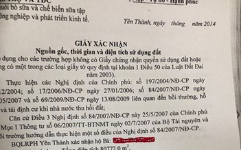 Khởi tố thêm 5 bị can lập hồ sơ khống chiếm đoạt tiền đền bù đất rừng