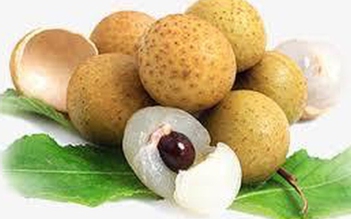 Bé trai 2 tuổi ở Nghệ An tử vong do hóc hạt nhãn