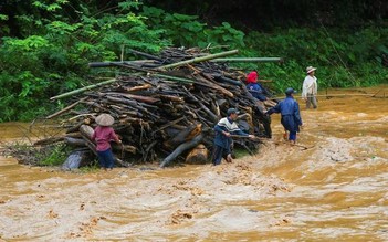 Hai cha con đi vớt củi bị nước cuốn trôi