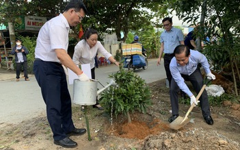 TP.HCM: Trồng 1.000 cây mai vàng dọc tuyến đường chính của Làng mai Bình Lợi