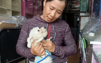 Vụ trộm chó tại Q.Gò Vấp: Người phụ nữ nhận lại chó cưng lúc 2 giờ sáng