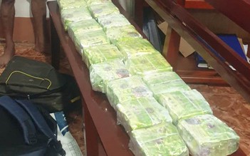 Công an Đồng Nai bắt đối tượng vận chuyển 20 kg ma túy đá