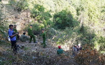 Mật phục, bắt quả tang 3 người phá rừng phòng hộ giữa đèo Tà Nung
