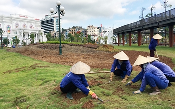 Công viên trăm tỉ nhiều chỗ bị xơ xác vì nạn trộm hoa