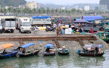 Đùa với tử thần trên những con đò nát tham quan vịnh Hạ Long