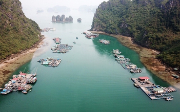 Chiêm ngưỡng làng chài đẹp nhất thế giới trên vịnh Hạ Long