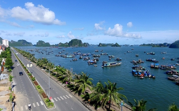 Quảng Ninh đầu tư hơn 1.000 tỉ đồng để làm đường bao biển