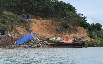 Quảng Ninh: Xử lý vụ chặt cây, san gạt đất rừng trái phép tại hòn đảo biên giới