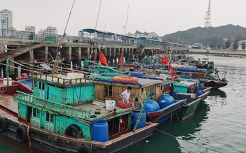 Bão số 7: Quảng Ninh cấm biển, kêu gọi hàng nghìn ngư dân lên bờ