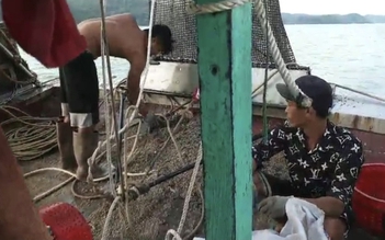 Quảng Ninh: Mở đợt truy quét trên biển, bắt giữ thêm 5 tàu giã cào