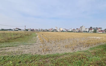 Rầm rộ rao bán đất nền tại dự án vẫn chỉ là đồng ruộng ở Bắc Ninh