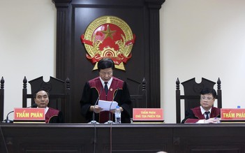 Hủy án sơ thẩm vụ vợ chồng giám đốc Lẫm - Quyết, đề nghị khởi tố Đường 'Nhuệ'