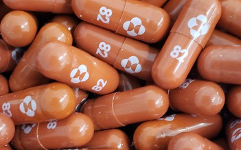Hải Phòng nhận 400.000 viên thuốc Molnupiravir cho bệnh nhân Covid-19 điều trị tại nhà