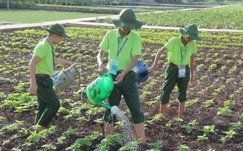 Những hành trình trải nghiệm mùa hè thú vị