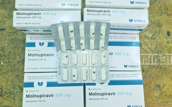 Thuốc điều trị Covid-19 Molnupiravir do Việt Nam sản xuất giá 8.675 - 12.500 đồng/viên