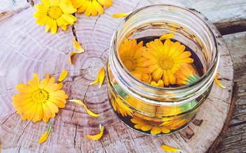 Hoa cúc Calendula hữu cơ - bí quyết chăm sóc dịu lành làn da bé