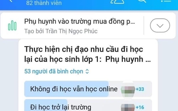 Chưa tới 30% phụ huynh lớp 1 ở TP.HCM đồng ý cho con đi học trực tiếp