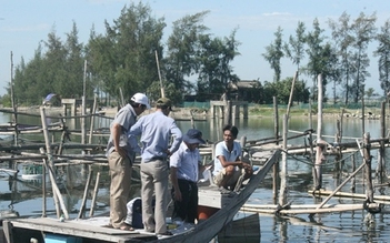 Cá nuôi gần cửa biển Thuận An chết trắng lồng