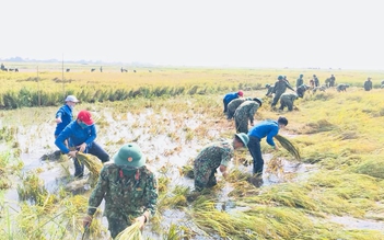 Vừa rời tuyến đầu chống dịch Covid-19, công an, bộ đội gặt lúa giúp dân