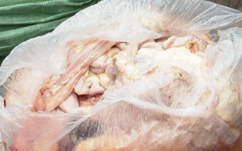 Thừa Thiên - Huế: Bắt giữ hơn 1 tấn nội tạng không rõ nguồn gốc
