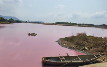 Hồ nước chuyển màu hồng gây hoang mang: Đứng 10 phút là quần áo ám mùi hôi