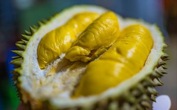 Thái Lan giới thiệu giống sầu riêng 'không mùi'