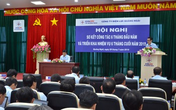 Sản lượng điện thương phẩm của PC Quảng Ngãi đạt 691,16 triệu kWh