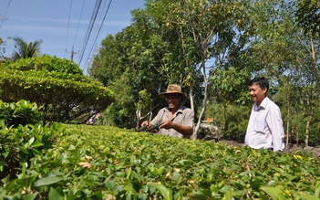 Ngoại thành 'cất cánh' nhờ xây dựng nông thôn mới