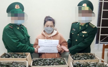 Bắt quả tang một phụ nữ vận chuyển 40 kg quả anh túc