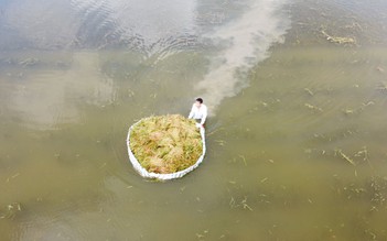 Thanh Hóa: Người dân Nông Cống bì bõm vớt lúa úng