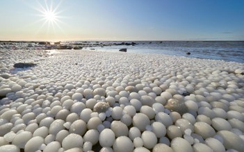 ‘Trứng băng’ hiếm hoi xuất hiện trên bãi biển