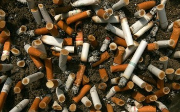 WHO: ném một cán thuốc lá là đưa 7.000 hóa chất độc hại vào môi trường