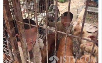 Trung Quốc: Không nhà ở, 2 đứa trẻ phải sống trong chuồng chó
