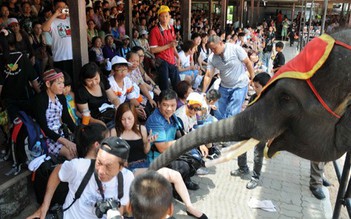 Đánh bom khủng bố ở Bangkok: Nhiều công ty du lịch Việt lo ngại và hủy tour Thái Lan