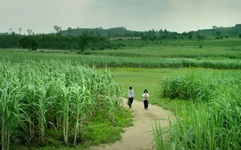 'Tôi thấy hoa vàng trên cỏ xanh': Không khóc là thiếu hiểu biết?