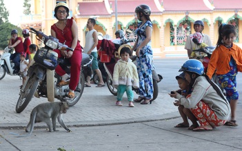 Công viên khỉ giữa lòng đô thị