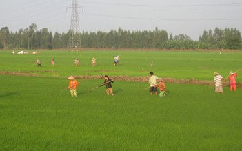 Nâng cao tính bền vững mô hình canh tác tôm - lúa