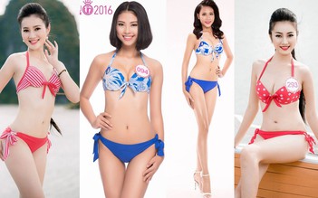 Những thí sinh 'nặng ký' Hoa hậu Việt Nam 2016 của khu vực miền Trung