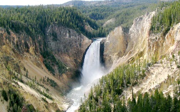 Kỳ vĩ và nên thơ rừng quốc gia Yellowstone