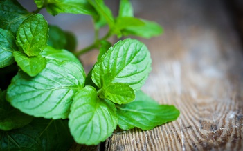 Mẹo giúp giảm buồn nôn và ói mửa