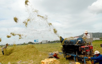 ASEAN hướng tới liên minh lúa gạo