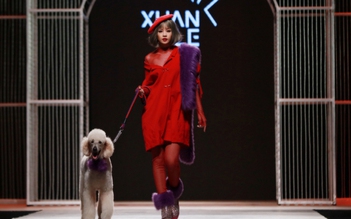 Chi Pu vừa catwalk vừa run vì sợ 'bạn diễn bốn chân' chạy lung tung