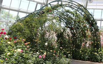 Vinpearl Land mở cửa công viên 'kỳ hoa dị thảo' năm châu