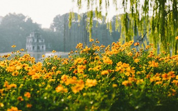 Thưởng thức - chia sẻ: Ưu tư ngày thu