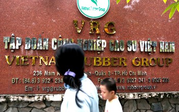 Tập đoàn Cao su Việt Nam được định giá 52.000 tỉ đồng