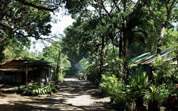 Lụi tàn làng Việt tại Philippines