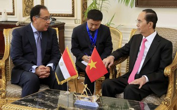 Triển khai hiệu quả các thỏa thuận hợp tác Việt Nam - Ai Cập