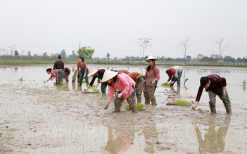 Học văn có lăn tăn?: Những tiết học 'nối văn với đời'